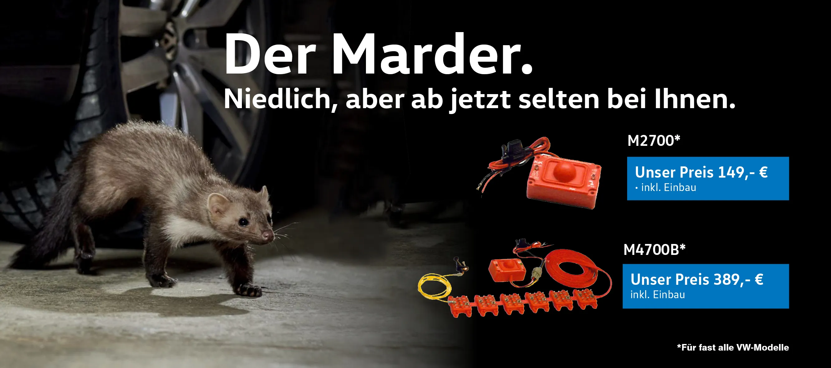 Marderabwehr
