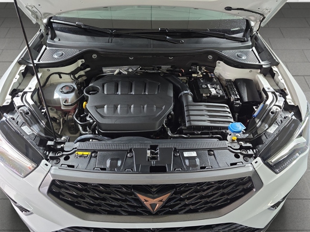 Ateca 2.0 TSI 4Drive+LED+NAVI+AHK+PARKLENK+APP-C