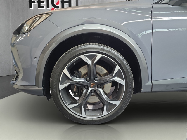 Formentor 2.0 TSI VZ+4Drive+LED+NAVI+PARKLENK