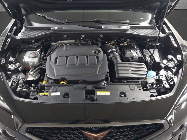 Formentor 2.0 TDI 4Drive+LED+NAVI+PARKLENK+APP