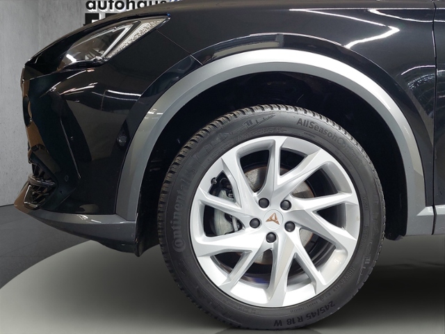 Formentor 2.0 TDI 4Drive+LED+NAVI+PARKLENK+APP