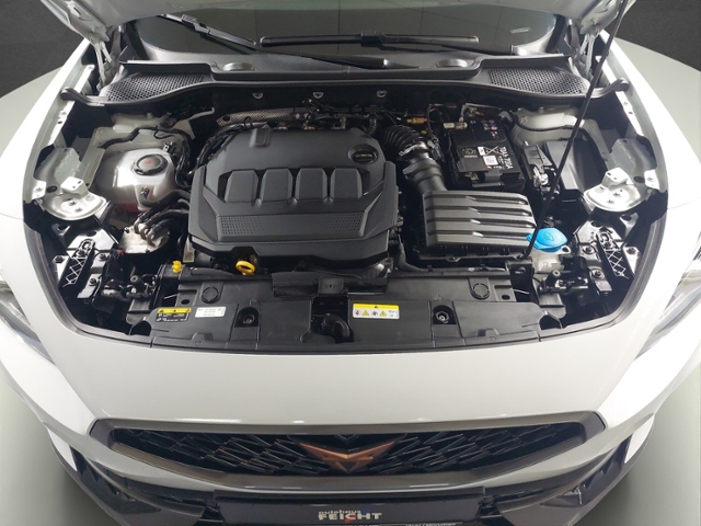 Formentor 2.0 TDI 4Drive+LED+NAVI+AHK+FULL LINK