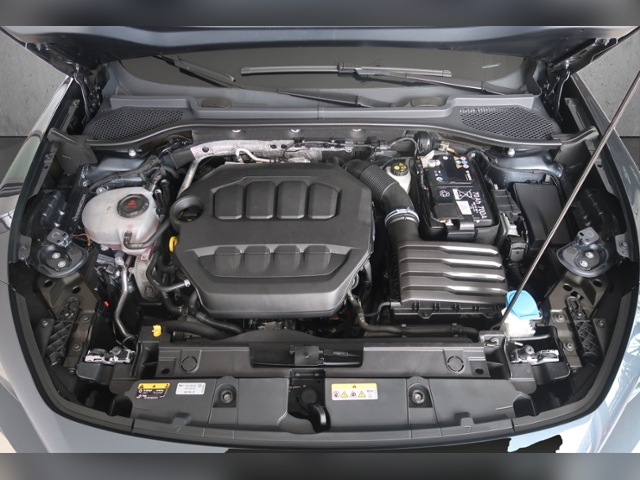 Formentor 2.0 TSI VZ+LED+NAVI+PARKLENK-APP-C.