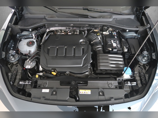 Formentor 2.0 TDI 4Drive+LED+NAVI+PARKLENK+APP