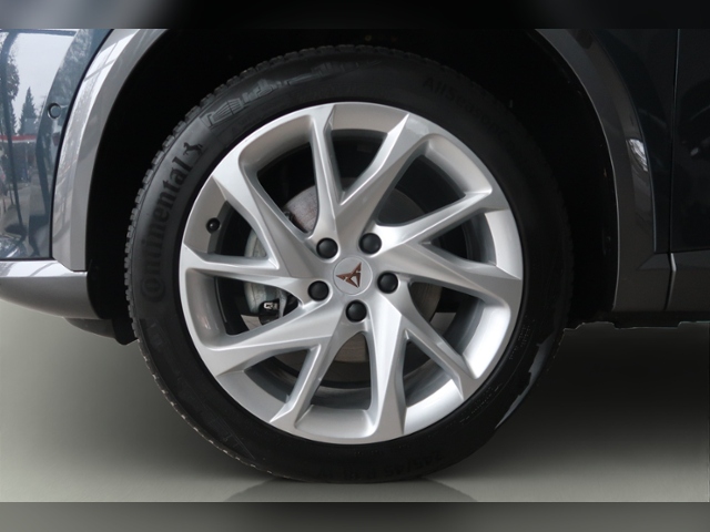 Formentor 2.0 TDI 4Drive+LED+NAVI+PARKLENK+APP