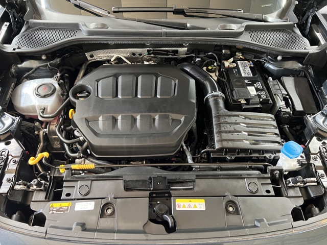 Formentor 2.0 TSI VZ+LED+NAVI+RFK+CARPLAY+SITZH.