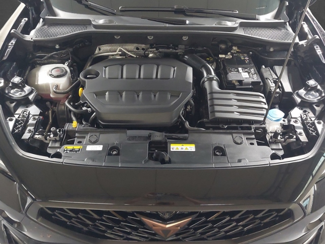 Formentor 2.0 TSI VZ Tribe Edition+4Drive+PANO