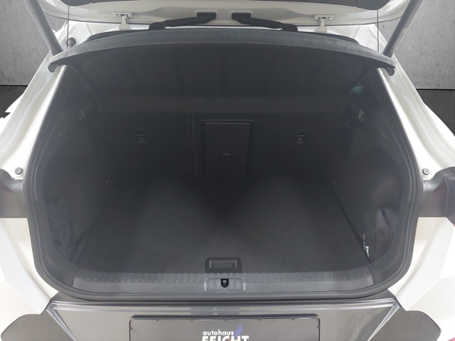 Formentor 2.0 TDI 4Drive+LED+NAVI+AHK+FULL LINK