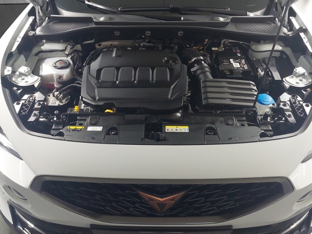 Formentor 2.0 TDI 4Drive+LED+NAVI+AHK+FULL LINK