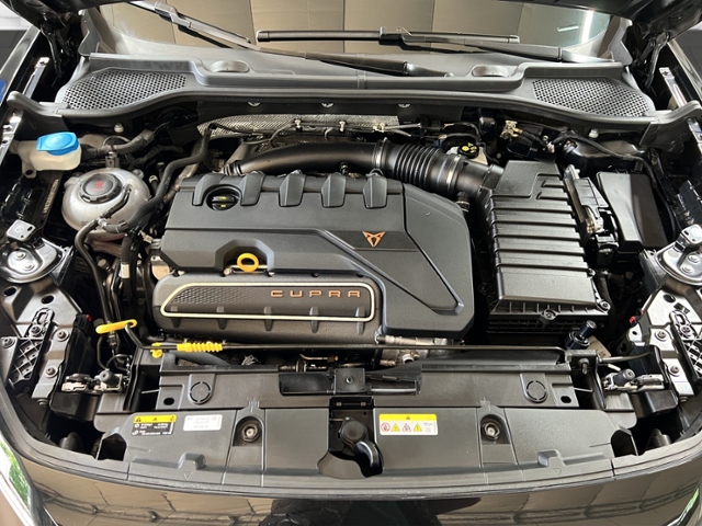 Formentor VZ5 2.5 TSI 4Drive+LED+NAVI+BEATS+PANO