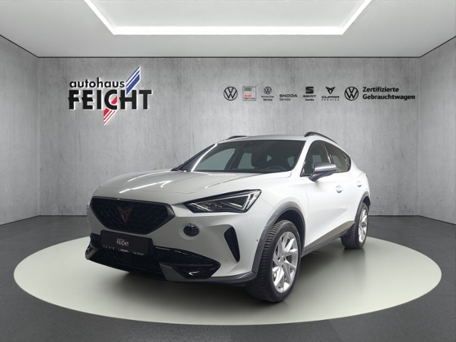 Formentor 2.0 TDI 4Drive+LED+NAVI+PARKLENK+AHK