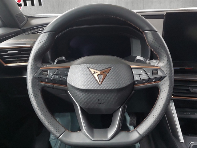 Formentor 2.0 TDI 4Drive+LED+NAVI+PARKLENK+AHK