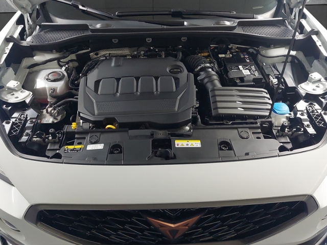 Formentor 2.0 TDI 4Drive+LED+NAVI+PARKLENK+AHK