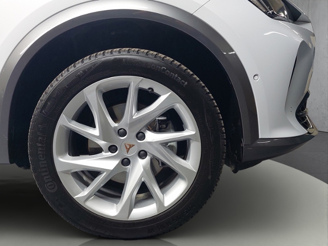 Formentor 2.0 TDI 4Drive+LED+NAVI+PARKLENK+AHK