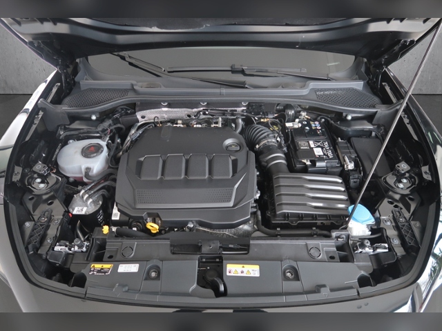 Formentor 2.0 TDI 4Drive+LED+NAVI+AHK+FULL LINK