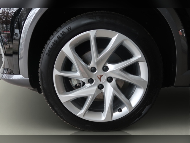 Formentor 2.0 TDI 4Drive+LED+NAVI+AHK+FULL LINK