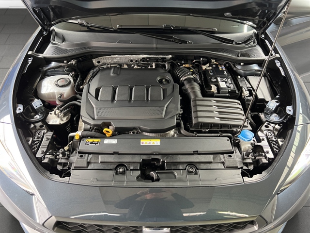 Leon Sportstourer 2.0 TDI FR+4Drive+LED+NAVI+RFK