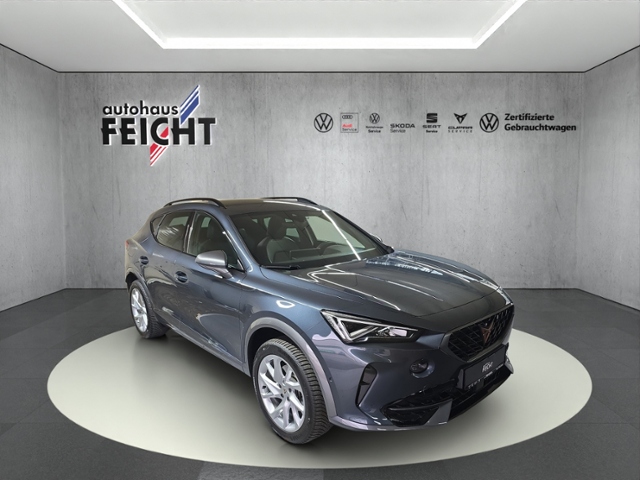 Formentor 1.5 TSI LED+NAV+RFK+PARKLENK+FULL LINK