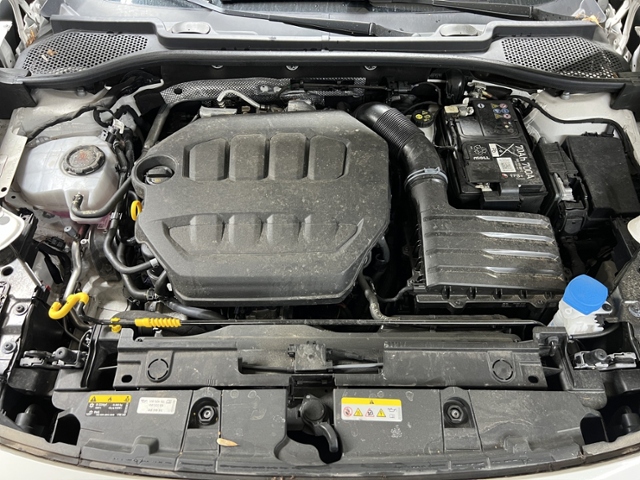 Formentor 2.0 TSI VZ+4Drive+LED+NAV+AHK+PARKLENK