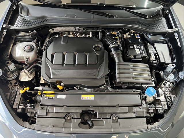 Leon Sportstourer 2.0 TDI FR+4Drive+LED+NAVI+RFK