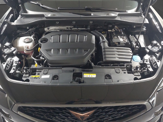 Formentor 2.0 TSI VZ+LED+NAVI+FULL LINK+PARKLENK