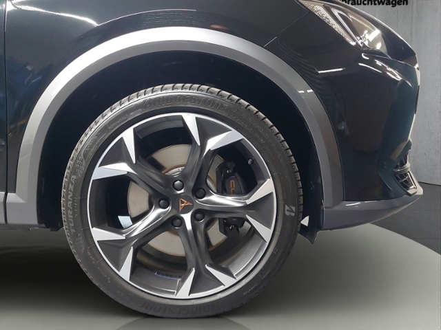 Formentor 2.0 TSI VZ+LED+NAVI+FULL LINK+PARKLENK