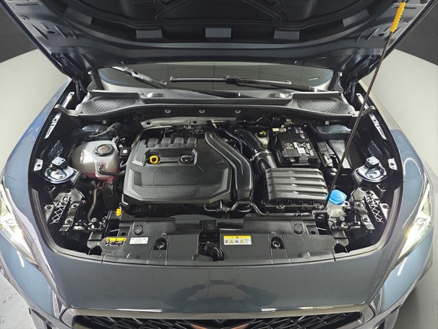 Formentor 1.5 TSI LED+NAVI+PARKLENK+AHK+ACC+GJR