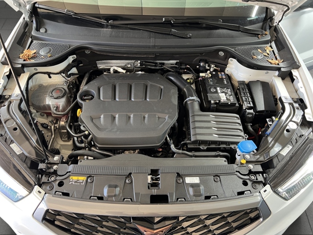 Ateca 2.0 TSI 4Drive+LED+NAVI+AHK+PARKLENK+APP-C