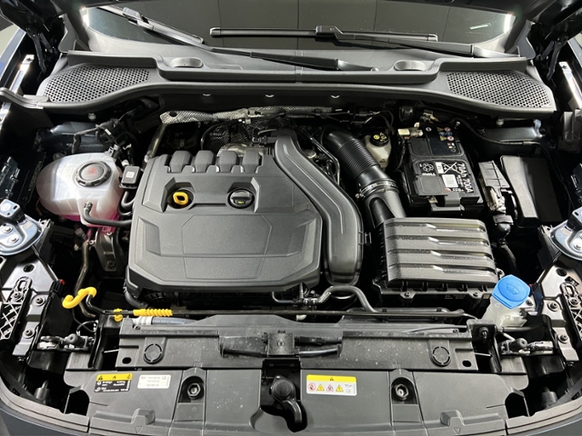 Formentor 1.5 TSI LED+NAV+AHK+PARKLENK+FULL LINK
