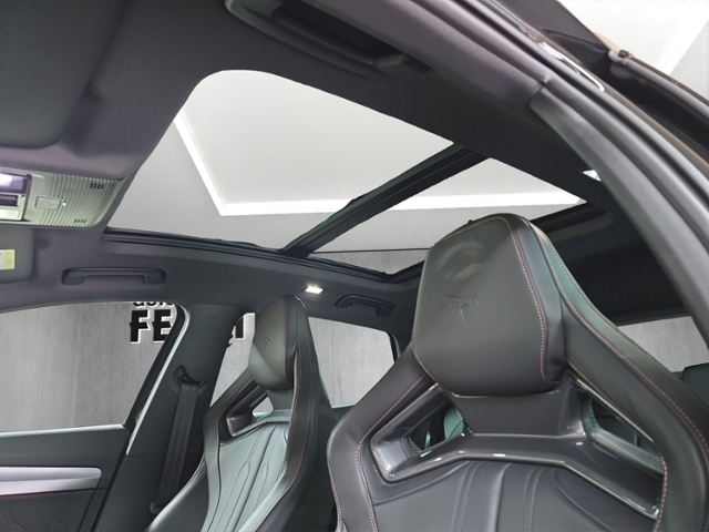 Formentor 2.0 TSI VZ+4Drive+LED+NAV+AHK+PARKLENK