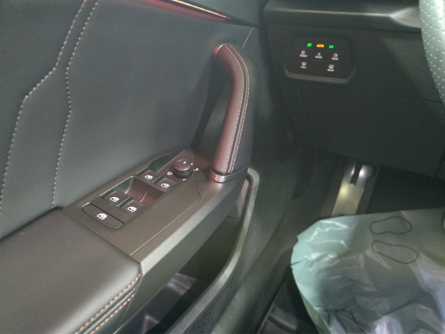 Formentor 2.0 TSI VZ+4Drive+LED+NAV+AHK+PARKLENK