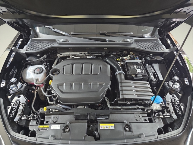 Formentor 2.0 TSI VZ+4Drive+LED+NAV+AHK+PARKLENK