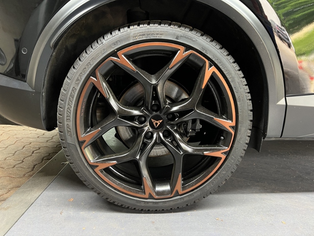 Formentor VZ5 2.5 TSI 4Drive+PANO+LED+MIRROR-LI