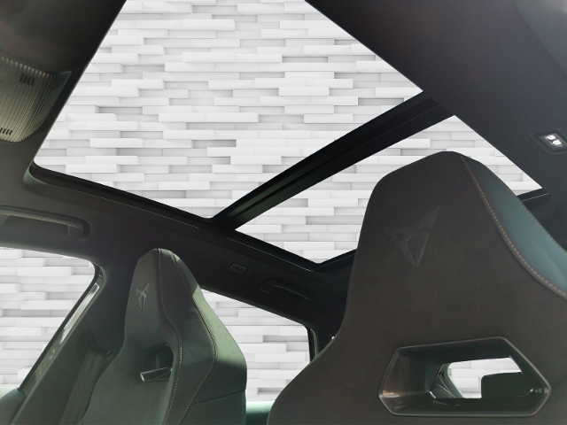 Formentor 2.0 TSI VZ Tribe Edition (EURO 6d) KLI
