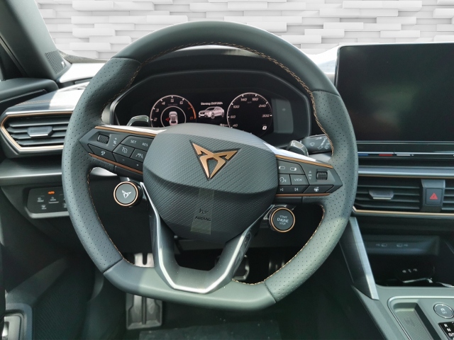 Formentor 2.0 TSI VZ Tribe Edition (EURO 6d) KLI