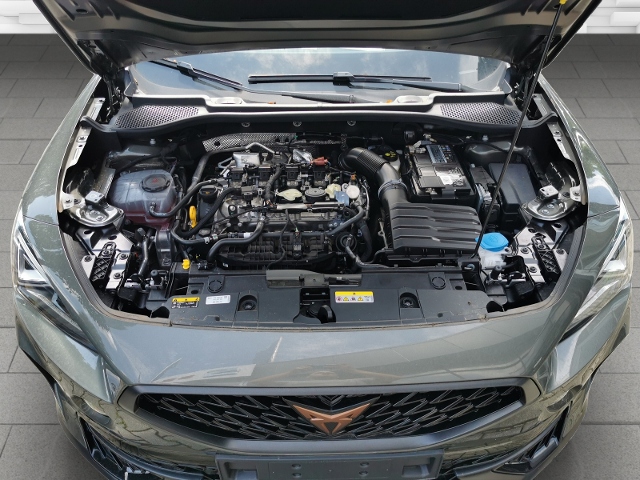 Formentor 2.0 TSI VZ Tribe Edition (EURO 6d) KLI